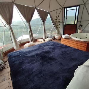 Habitación Deluxe con Cama King